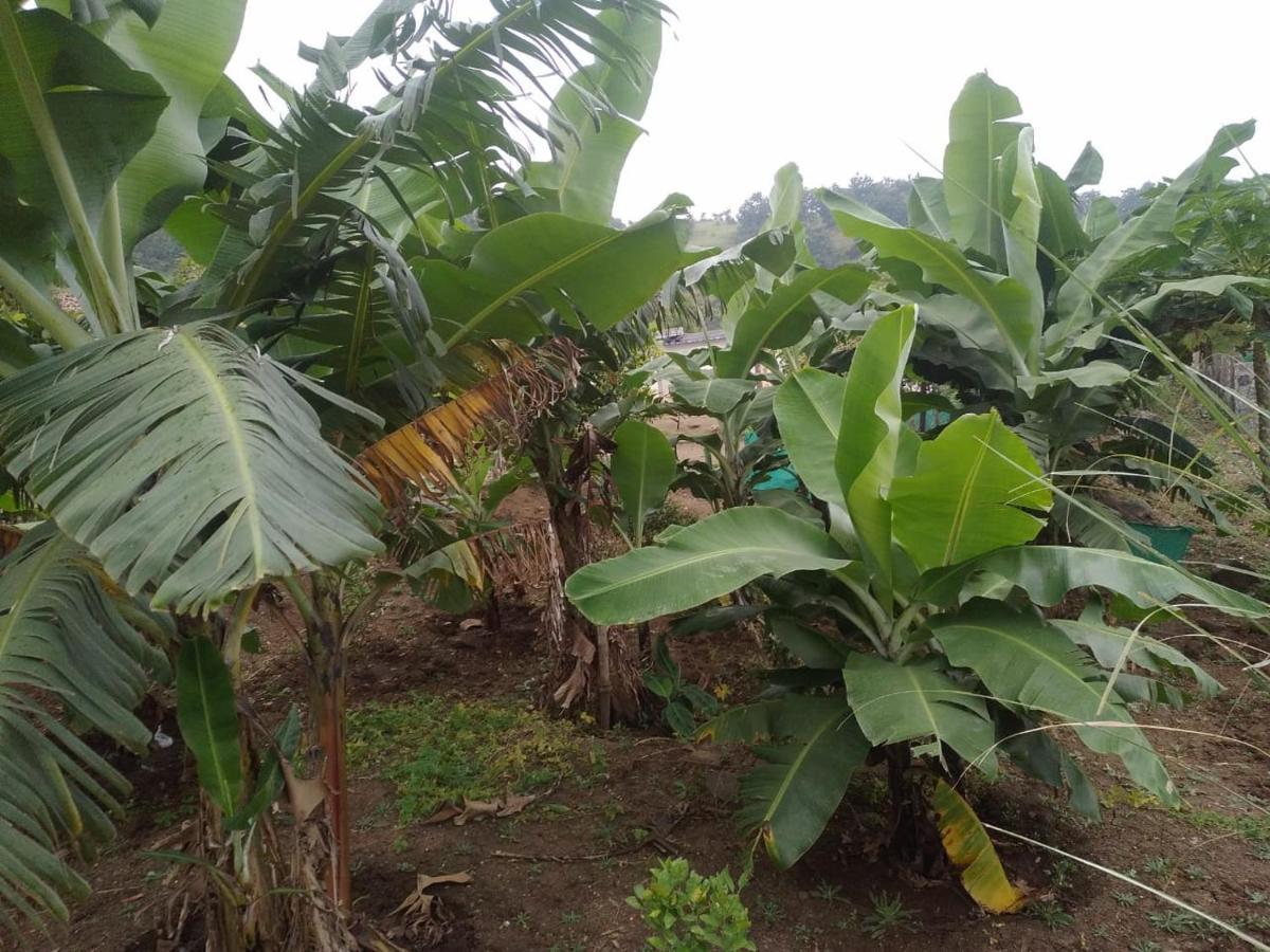Jandyal Farm House Malshej Ghat Extérieur photo