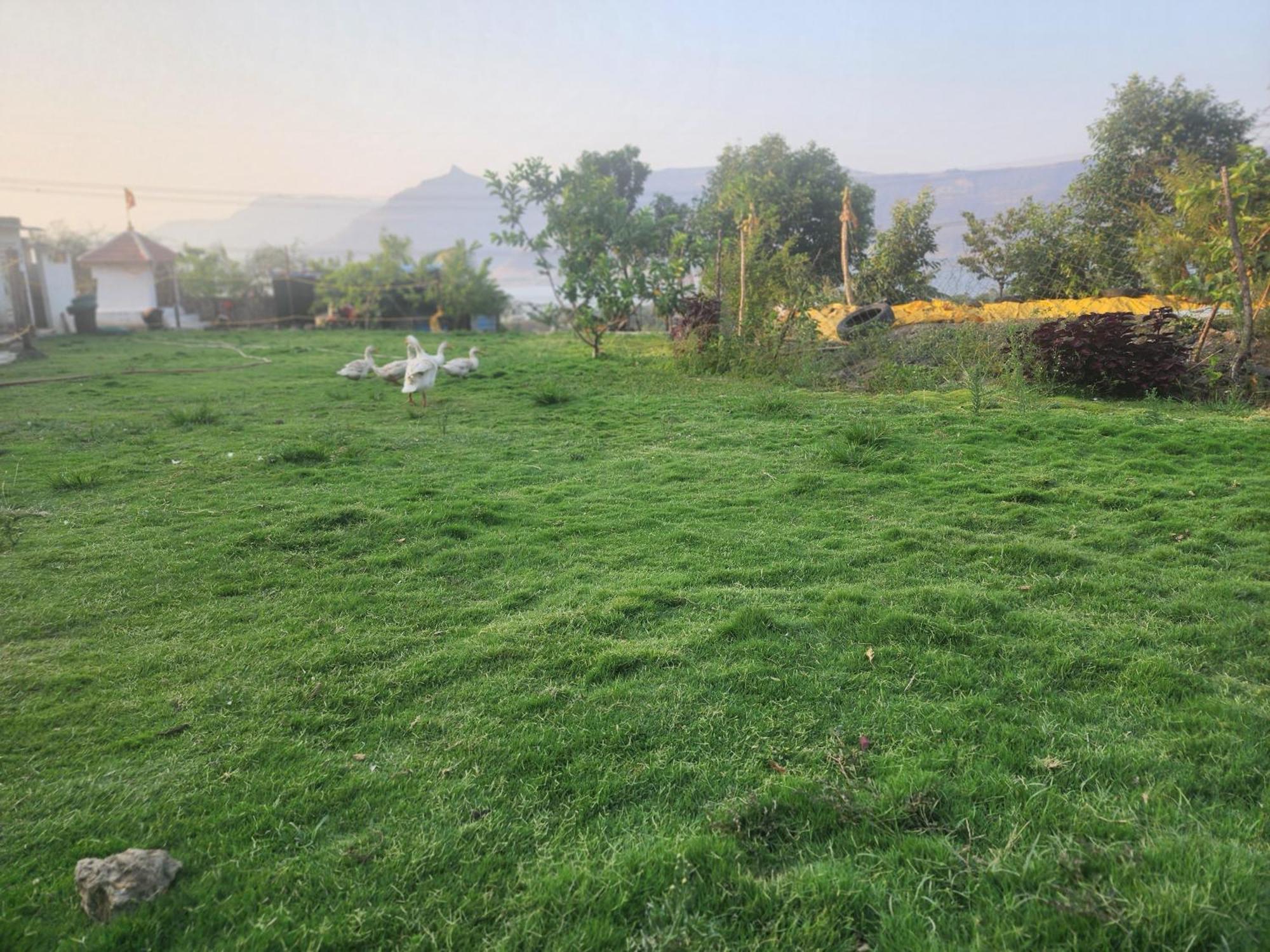 Jandyal Farm House Malshej Ghat Extérieur photo